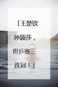 王楚钦孙颖莎，世乒赛三连冠！