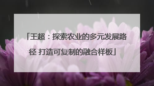 王超：探索农业的多元发展路径 打造可复制的融合样板
