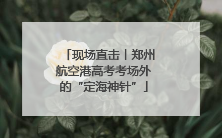 现场直击丨郑州航空港高考考场外的“定海神针”