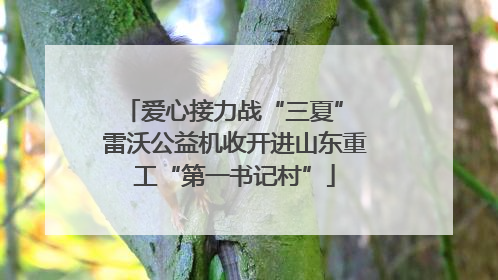 爱心接力战“三夏” 雷沃公益机收开进山东重工“第一书记村”