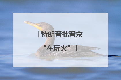 特朗普批普京“在玩火”