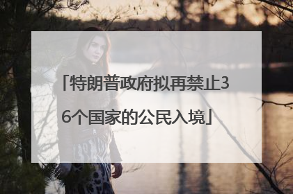 特朗普政府拟再禁止36个国家的公民入境