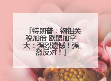 特朗普：钢铝关税加倍 欧盟加拿大：强烈遗憾！强烈反对！