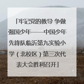 牢记党的教导 争做强国少年——中国少年先锋队临沂第九实验小学（北校区）第三次代表大会胜利召开