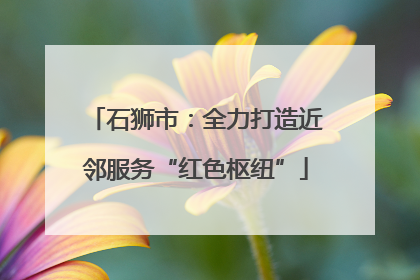 石狮市：全力打造近邻服务“红色枢纽”