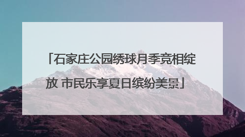 石家庄公园绣球月季竞相绽放 市民乐享夏日缤纷美景
