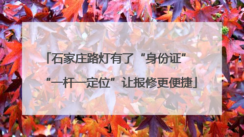 石家庄路灯有了“身份证” “一杆一定位”让报修更便捷