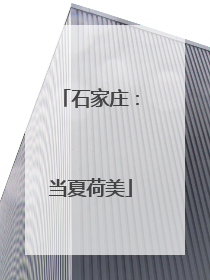 石家庄：当夏荷美