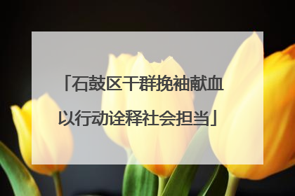 石鼓区干群挽袖献血 以行动诠释社会担当