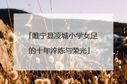 睢宁县凌城小学女足的十年淬炼与荣光