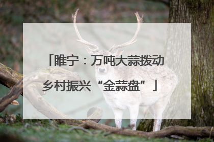 睢宁：万吨大蒜拨动乡村振兴“金蒜盘”