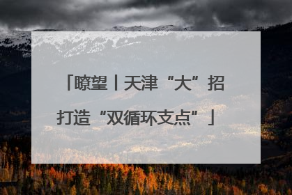 瞭望丨天津“大”招打造“双循环支点”