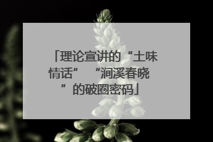 理论宣讲的“土味情话” “涧溪春晓”的破圈密码