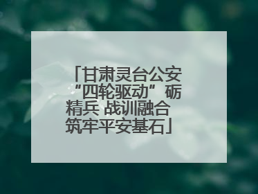 甘肃灵台公安“四轮驱动”砺精兵 战训融合筑牢平安基石
