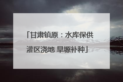 甘肃镇原：水库保供 灌区浇地 旱塬补种