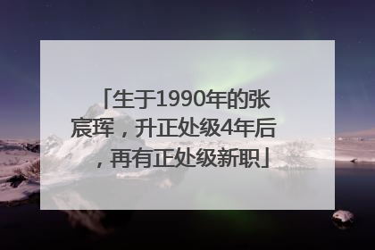 生于1990年的张宸珲，升正处级4年后，再有正处级新职