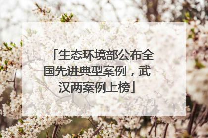 生态环境部公布全国先进典型案例，武汉两案例上榜