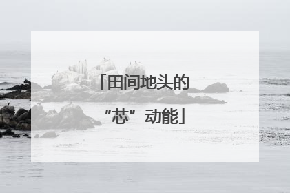 田间地头的“芯”动能