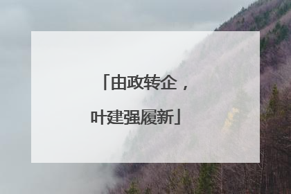 由政转企，叶建强履新