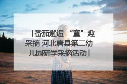 番茄邂逅 “童”趣采摘 河北唐县第二幼儿园研学采摘活动