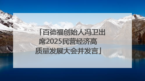 百德福创始人冯卫出席2025民营经济高质量发展大会并发言