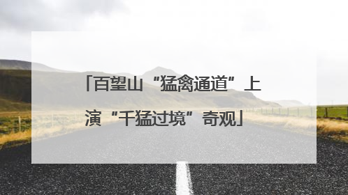 百望山“猛禽通道”上演“千猛过境”奇观