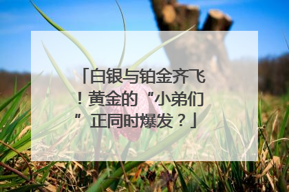 白银与铂金齐飞！黄金的“小弟们”正同时爆发？