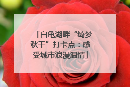 白龟湖畔“绮梦秋千”打卡点：感受城市浪漫温情
