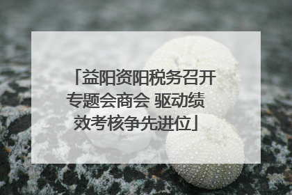 益阳资阳税务召开专题会商会 驱动绩效考核争先进位