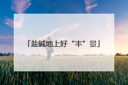 盐碱地上好“丰”景