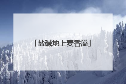 盐碱地上麦香溢