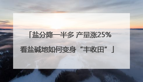 盐分降一半多 产量涨25% 看盐碱地如何变身“丰收田”
