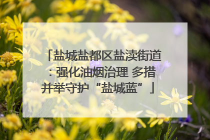 盐城盐都区盐渎街道：强化油烟治理 多措并举守护“盐城蓝”