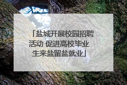 盐城开展校园招聘活动 促进高校毕业生来盐留盐就业