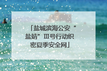 盐城滨海公安“盐靖”Ⅲ号行动织密夏季安全网