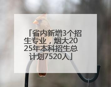省内新增3个招生专业，烟大2025年本科招生总计划7520人