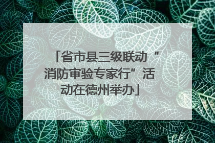 省市县三级联动“消防审验专家行”活动在德州举办