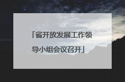 省开放发展工作领导小组会议召开