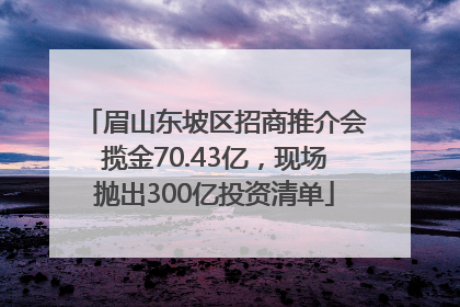 眉山东坡区招商推介会揽金70.43亿，现场抛出300亿投资清单