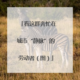 看这群奔忙在城市“静脉”的劳动者（图）