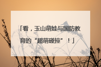 看，玉山萌娃与国防教育的“超萌碰撞”！