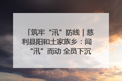 筑牢“汛”防线｜慈利县阳和土家族乡：闻“汛”而动 全员下沉筑牢防汛“安全堤”