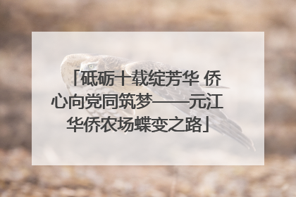 砥砺十载绽芳华 侨心向党同筑梦——元江华侨农场蝶变之路