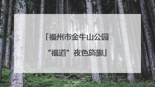 福州市金牛山公园“福道”夜色旖旎