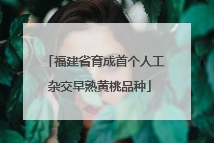 福建省育成首个人工杂交早熟黄桃品种