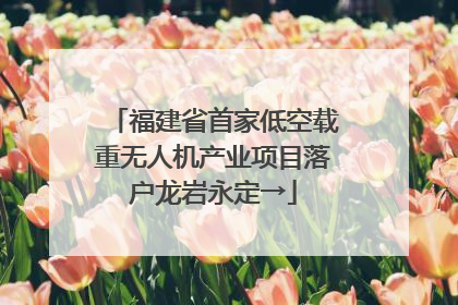 福建省首家低空载重无人机产业项目落户龙岩永定→