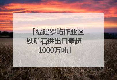 福建罗屿作业区铁矿石进出口量超1000万吨