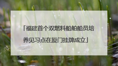 福建首个双燃料船舶船员培养见习点在厦门挂牌成立