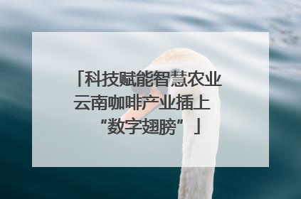 科技赋能智慧农业 云南咖啡产业插上“数字翅膀”