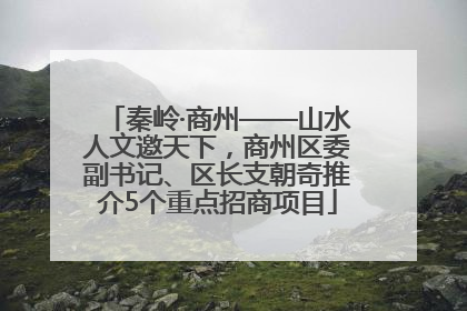 秦岭·商州——山水人文邀天下，商州区委副书记、区长支朝奇推介5个重点招商项目